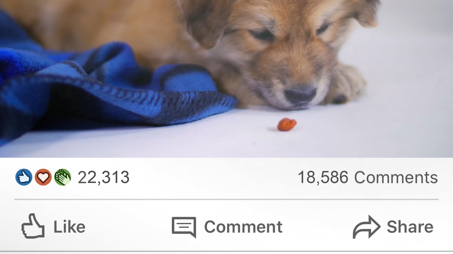 Blurry Vision
Disruptive Social Media Ad
