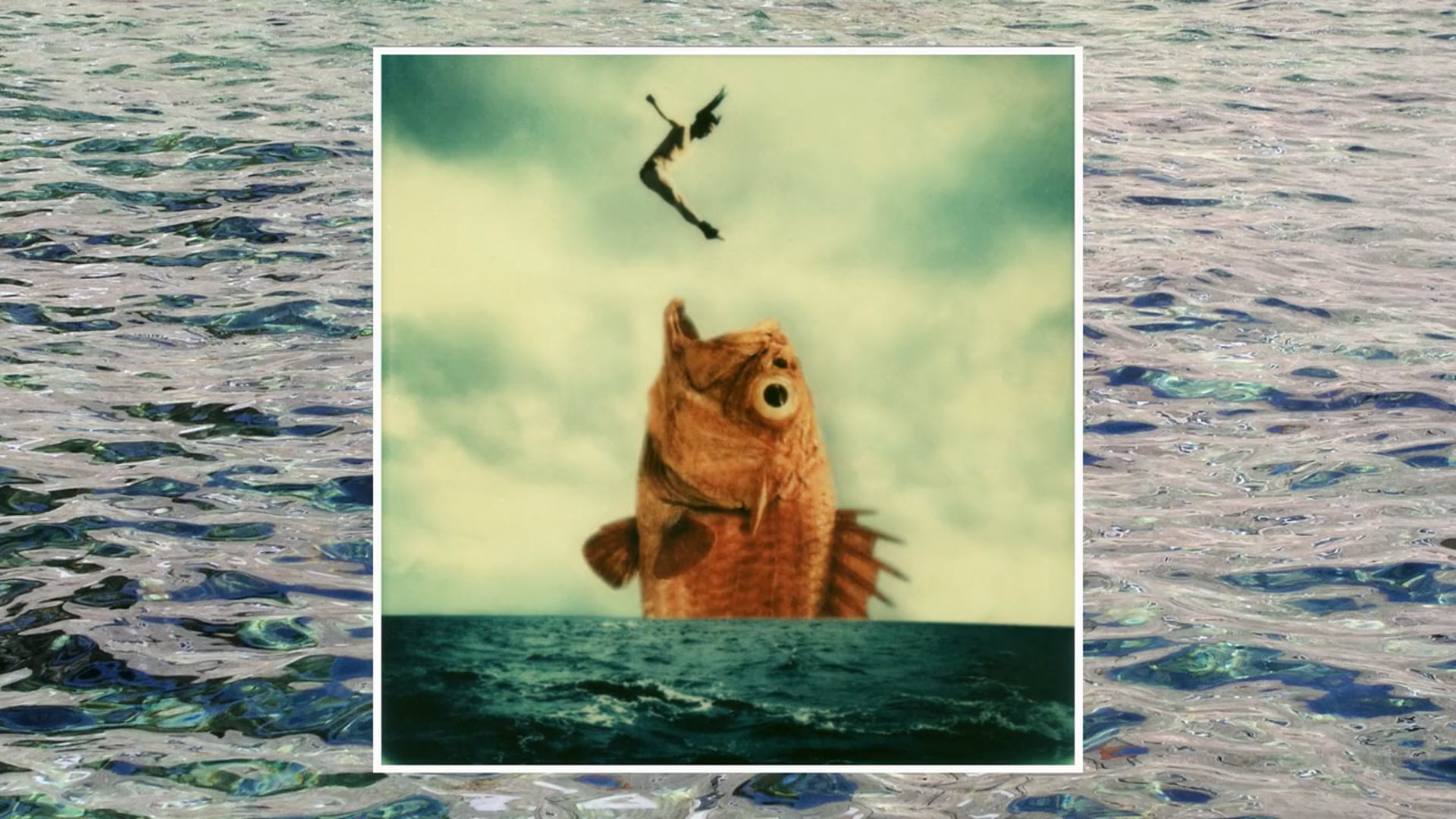 The Impossible Project