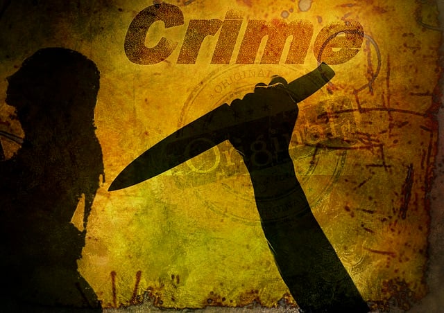 Violent Crime vs. Non-Violent Crime In Serious Felonies?