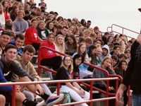 The Lion Heart Experience