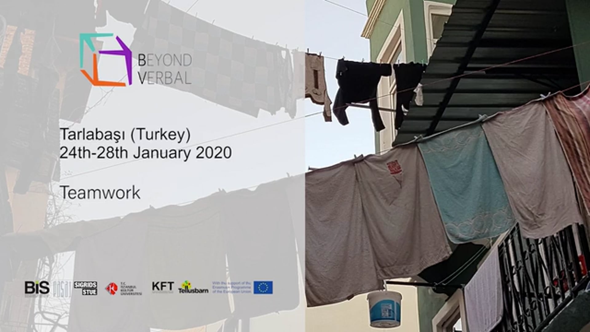 BV Teamwork Workshop (Tarlabaçi, January 2020)