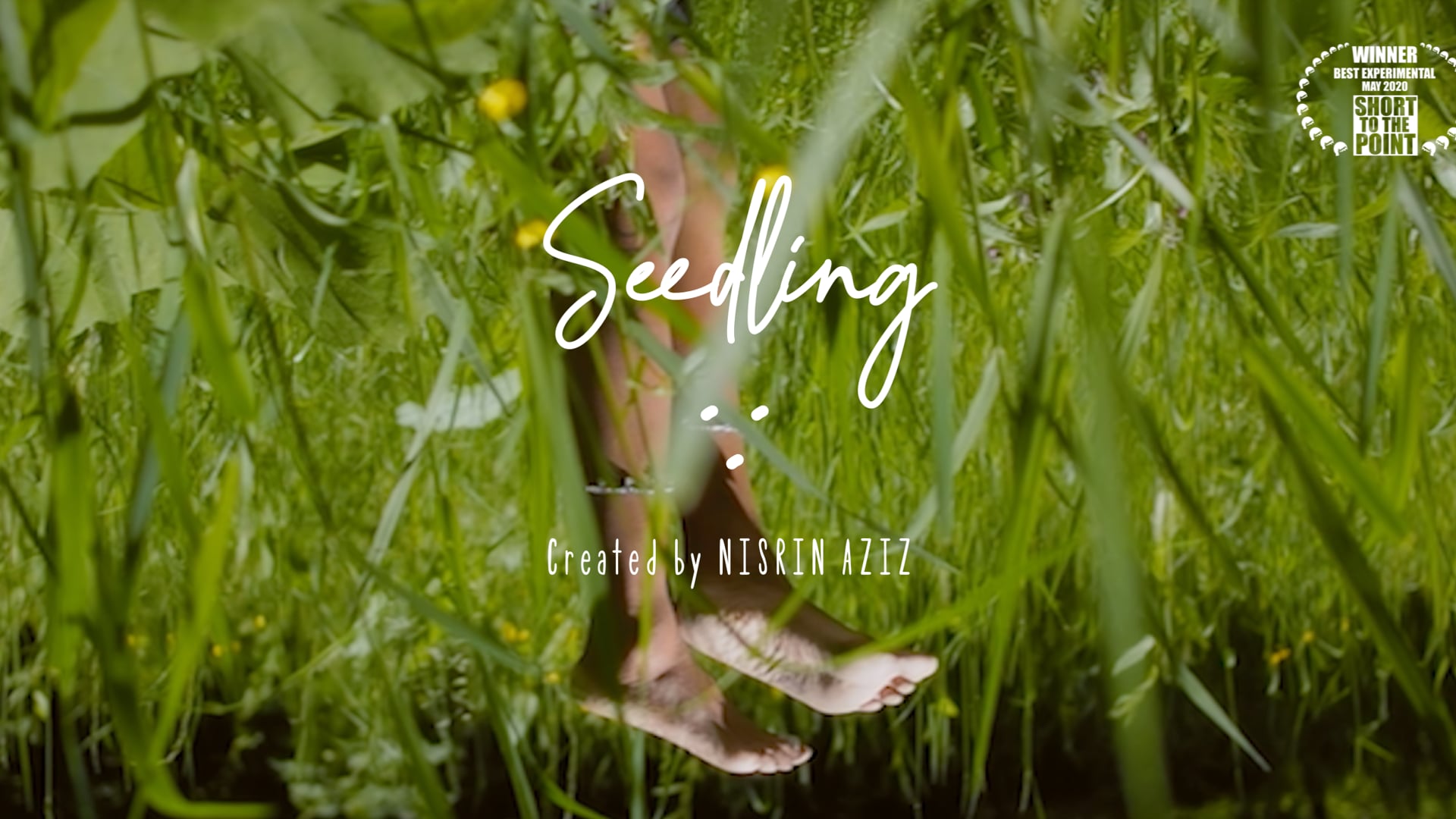 Seedling
