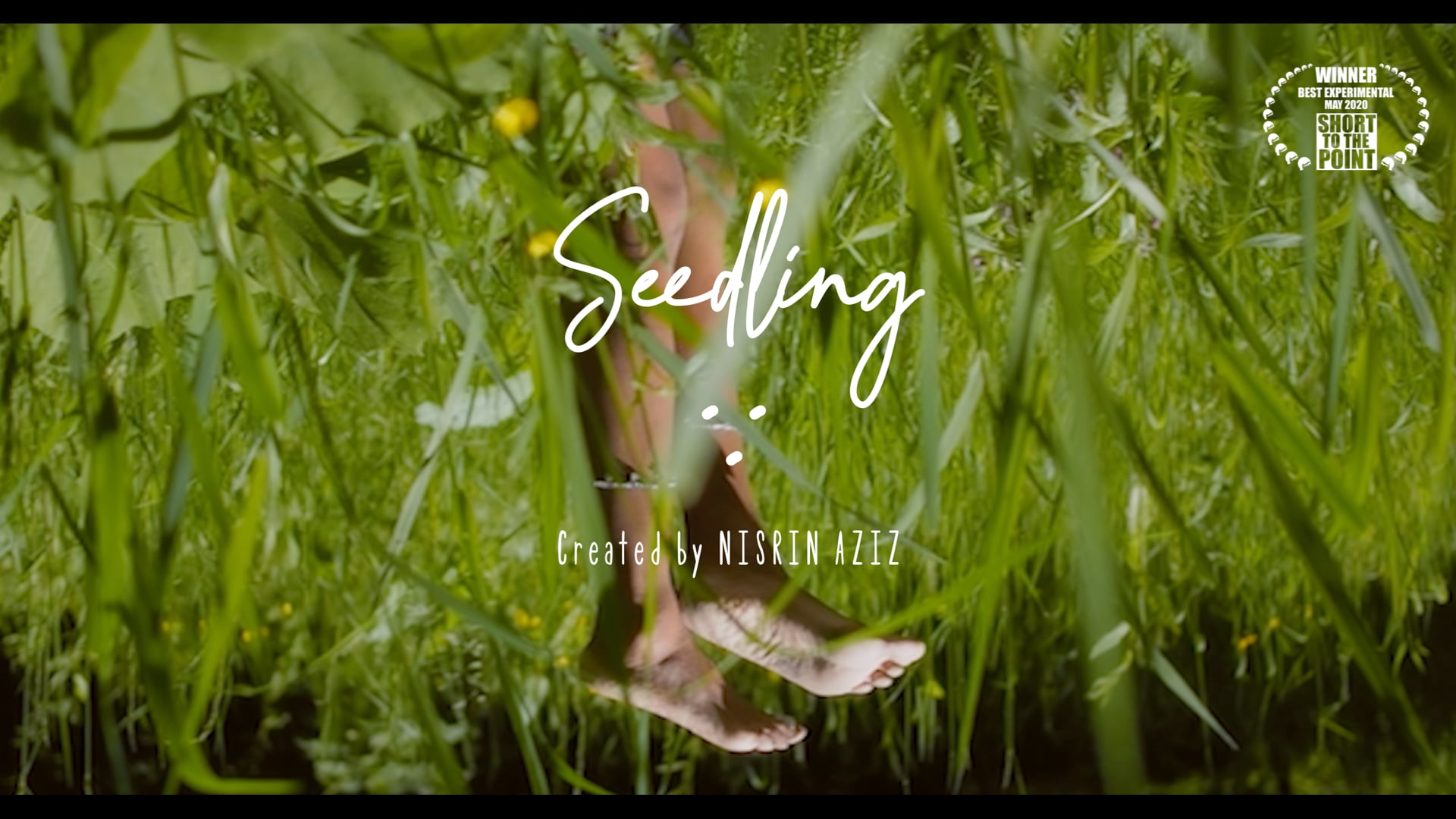 Seedling