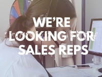 Soleira Hiring Ad