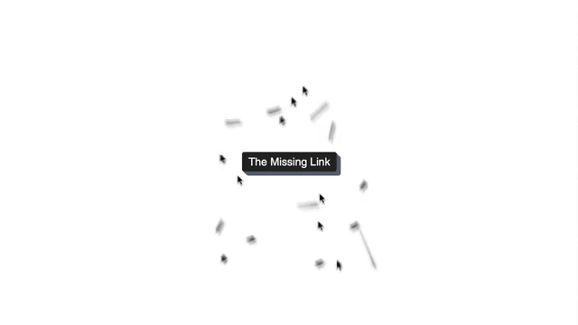 THE MISSING LINK PROJECT by SNEHA JOSHI