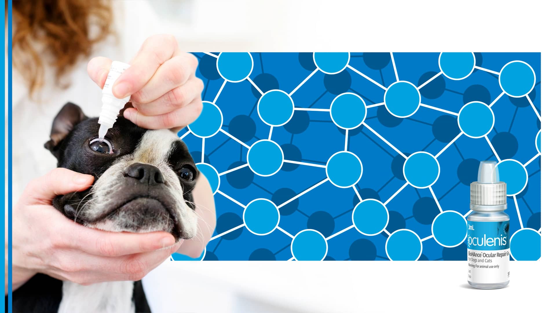 Ocular repair gel for pets made with BioHAnce technology on Vimeo