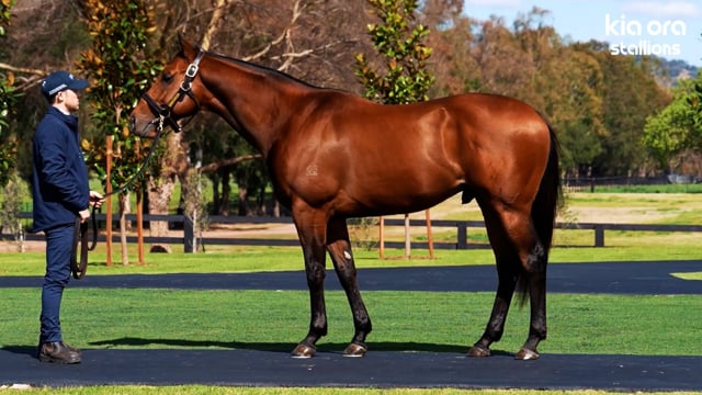 Prague (AUS) at Kia Ora Stud