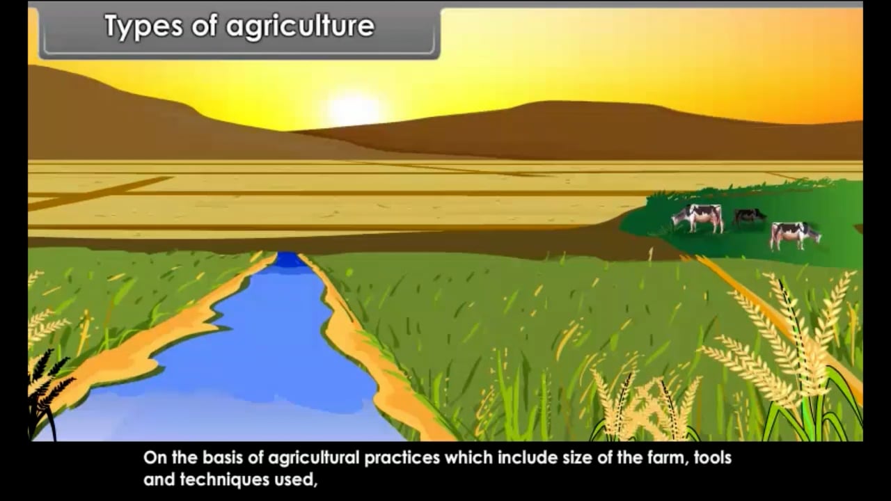 Agriculture On Vimeo