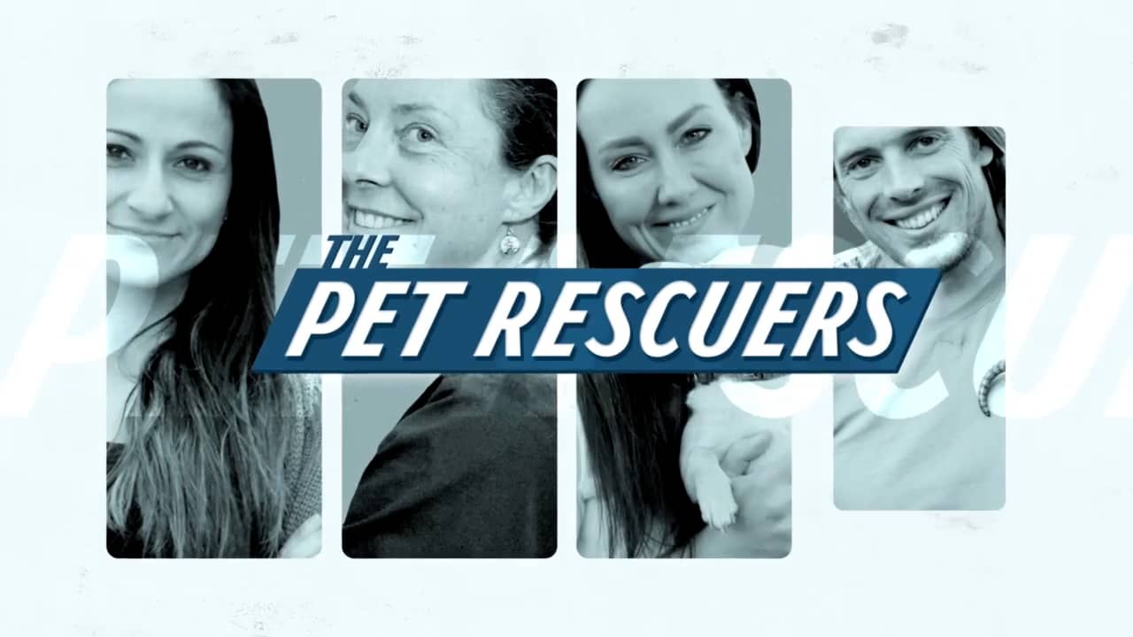 The Pet Rescuers S2 Trailer on Vimeo