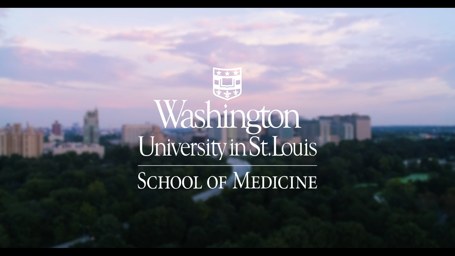 Society of Black Academic Surgeons