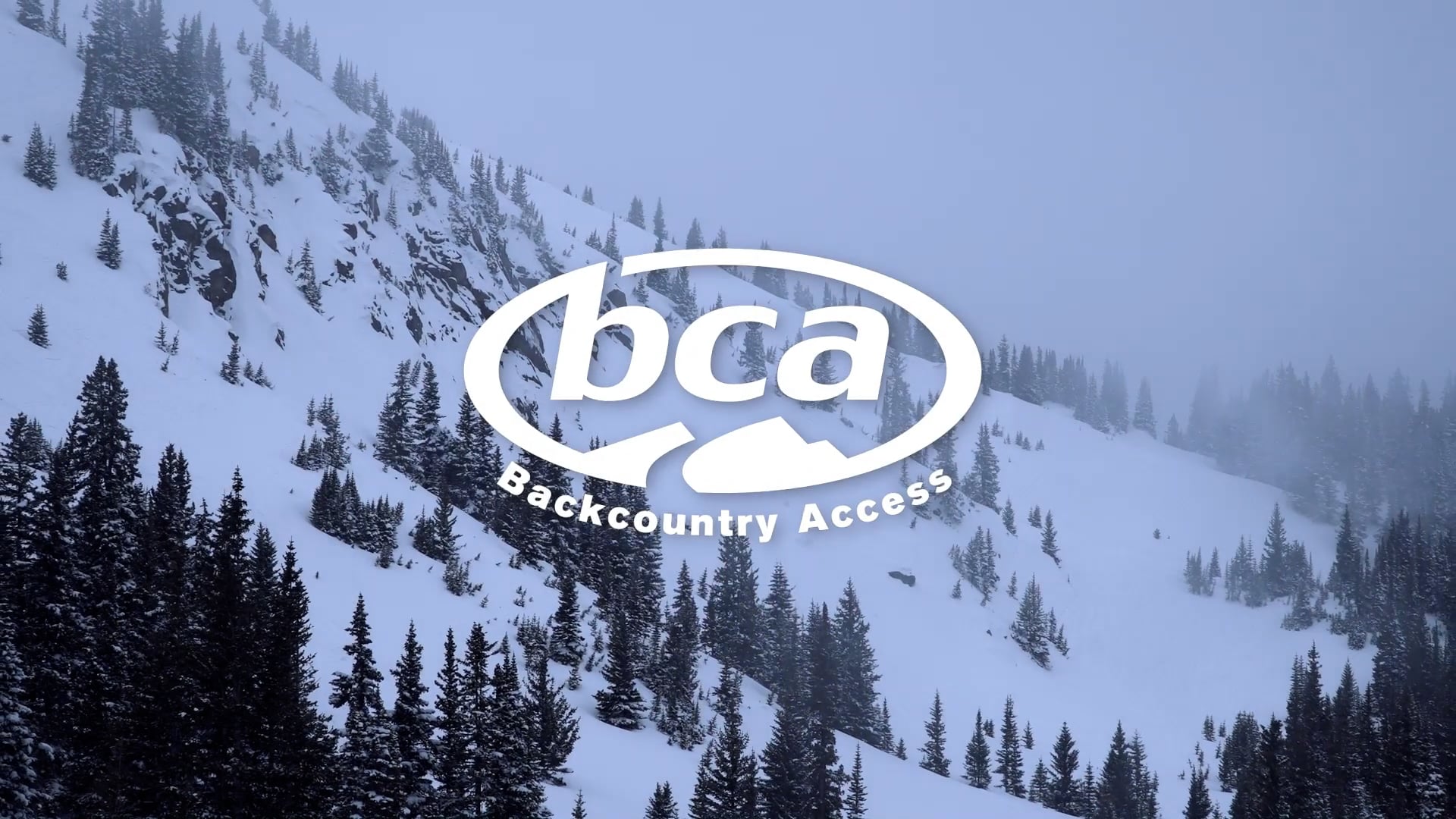 BCA – Day Out Video