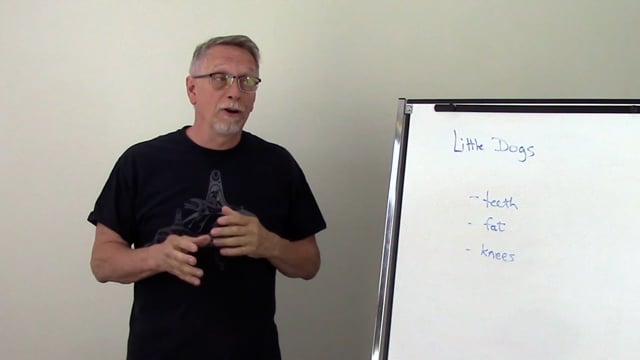 Little Dogs? Know these facts