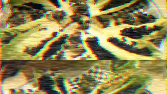 https://i.vimeocdn.com/video/1269252899-f577e6e68c84f050ce6f65daffe8e56b997d0dd58cbd7f8b5