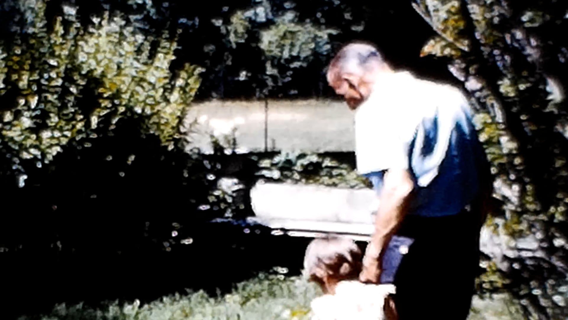 1960's (Early) Variety Part 1