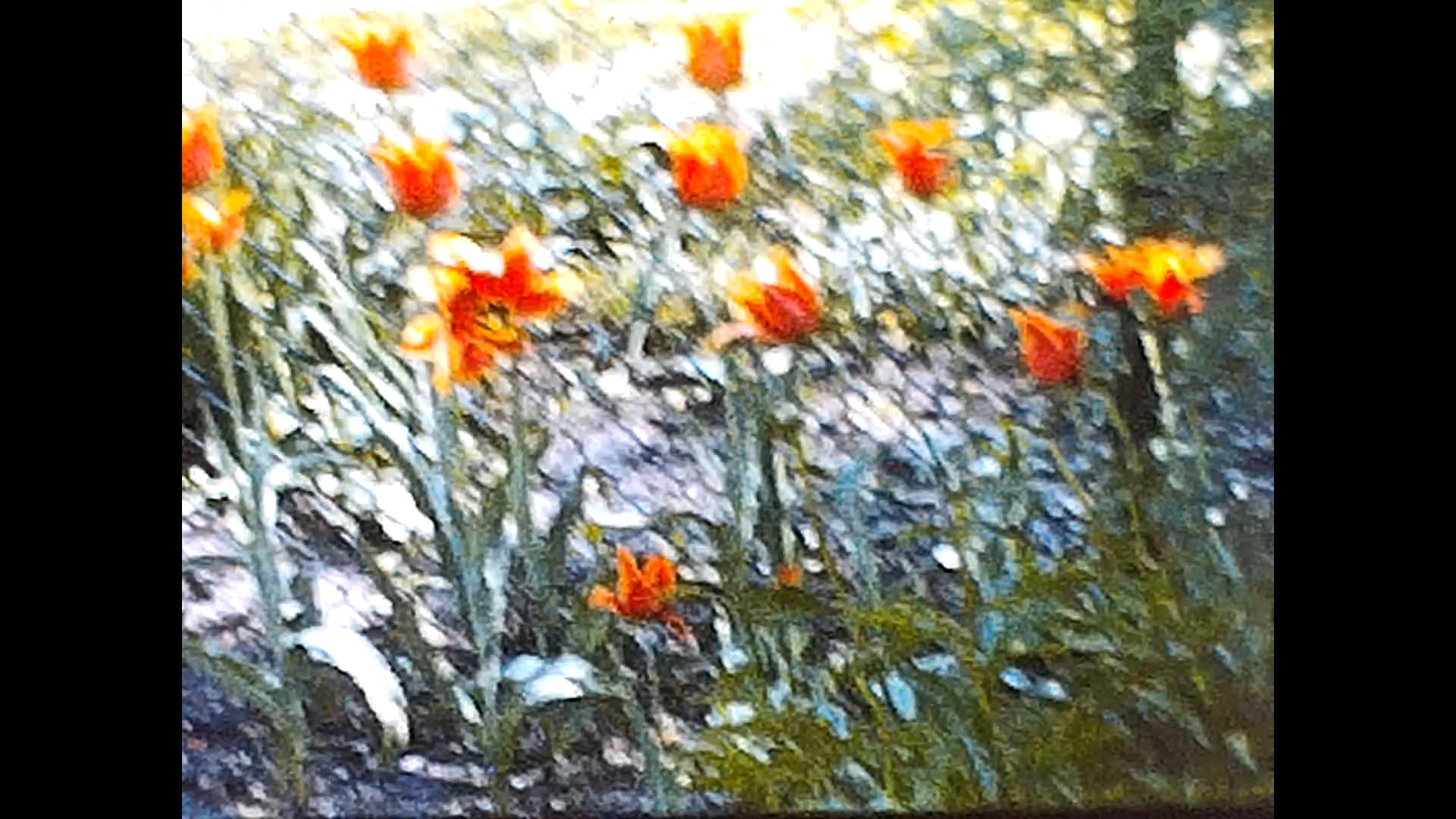 1960's Early - Florida, AZ, DC, Normans