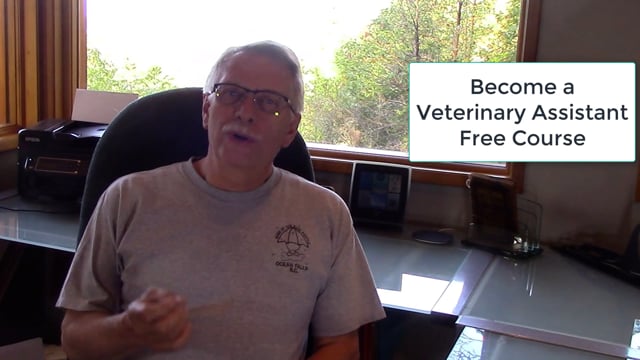 Free Veterinary Assistant Course