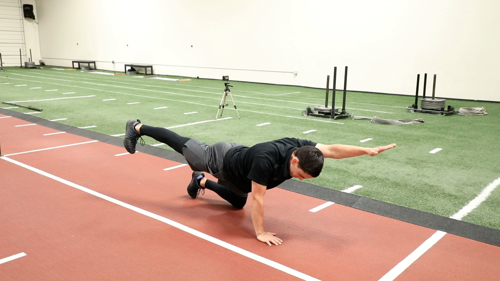 Activities Bird Dog on Vimeo