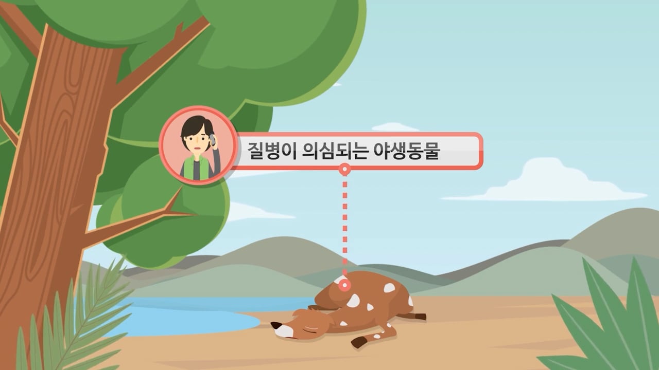 야생동물 관리 · 신고시스템 인포그래픽 — 국립환경과학원 제작 사례