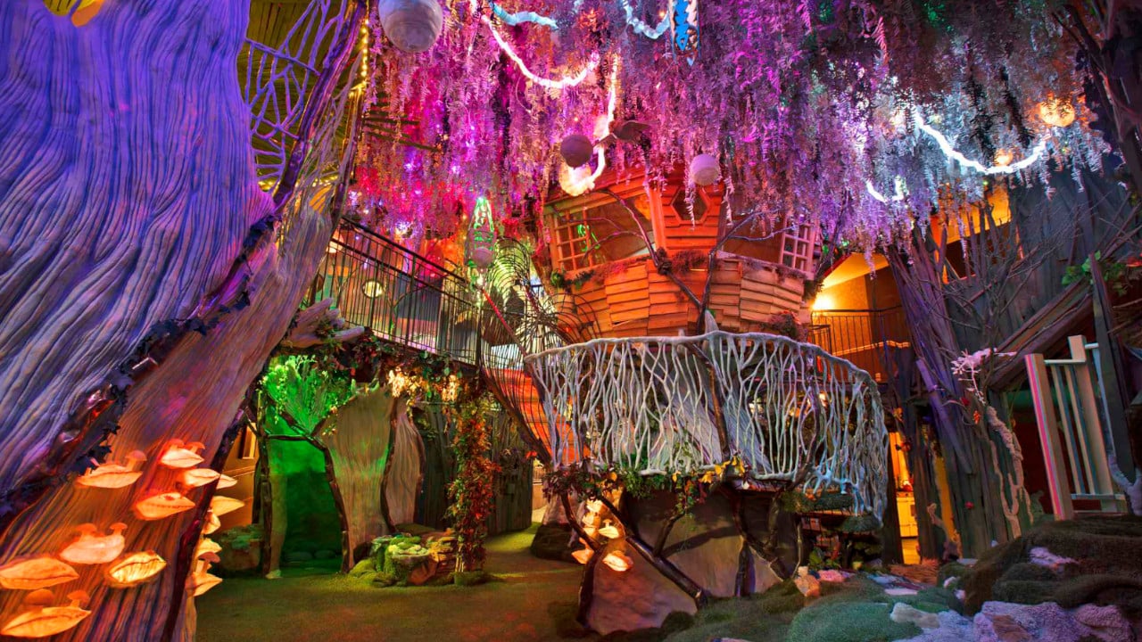 Meow Wolf: Origin Story