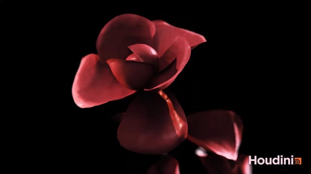 Houdini - Looping Petals