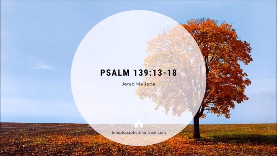 Psalm 139:13-18