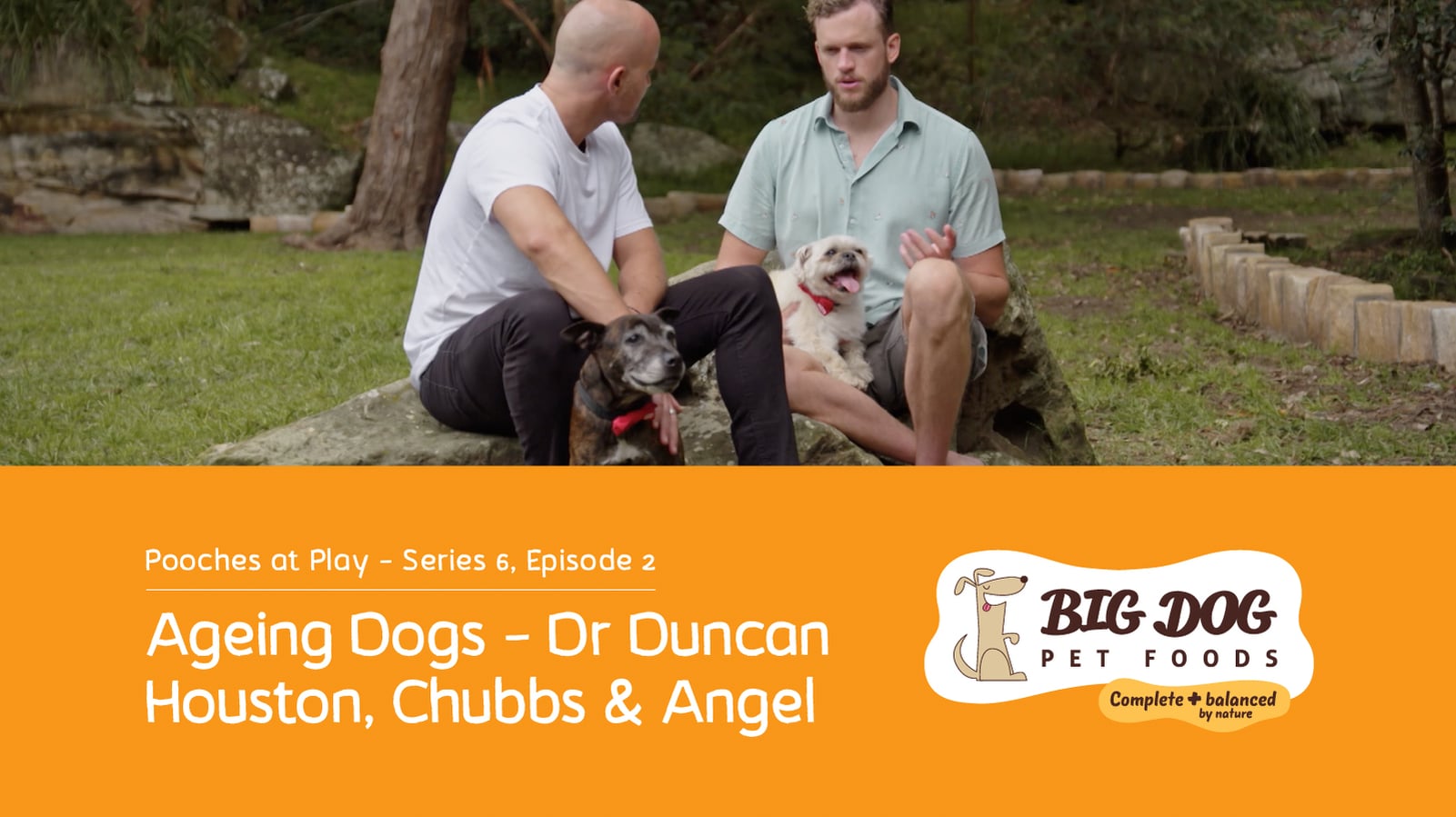 Senior dog health advice from holistic vet, Dr Duncan Houston on Vimeo