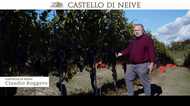 Nebbiolo 2021 