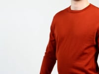 https://www.suitableshop.nl/truien-en-sweaters/suitable-respect-oini-pullover-o-hals-roest.html