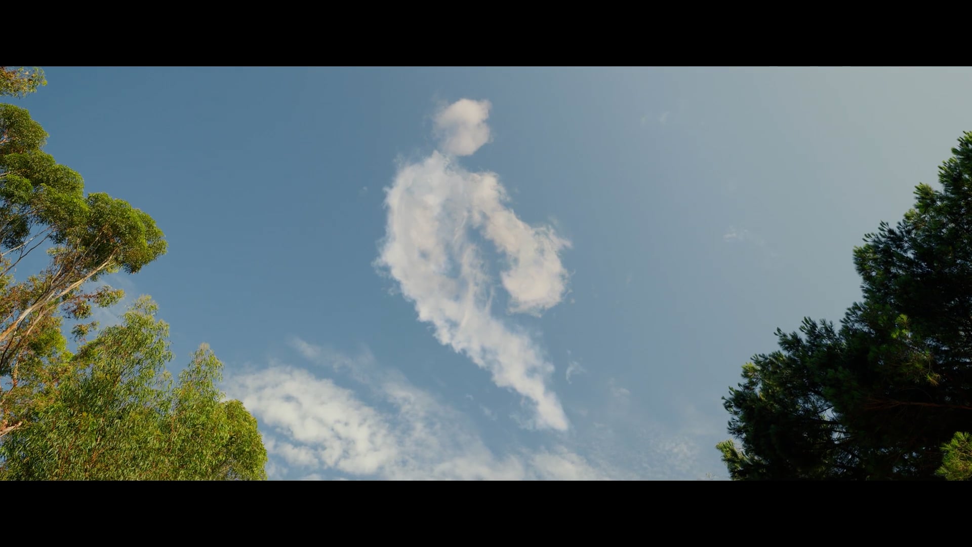 https://i.vimeocdn.com/video/1271767392-5e7fd4b535baabe87aa78f2c7022334425e60677959d706cd