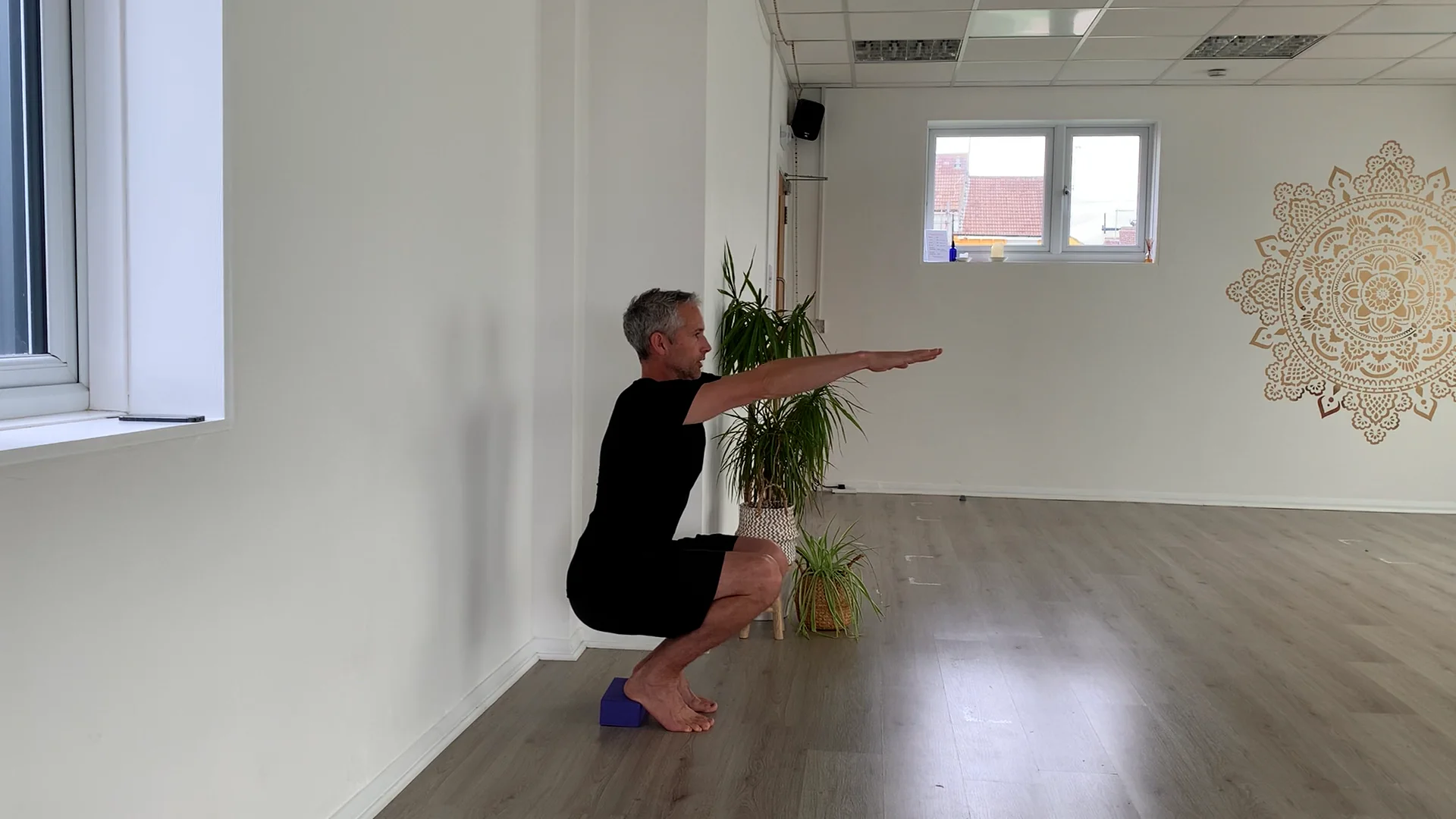 VMO Squats: How Strengthen your VMO Muscle and improve range of