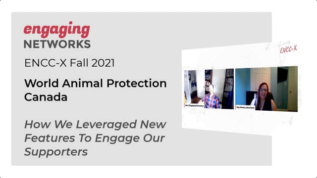 World Animal Protection Canada: How We Leveraged New Features To Engage Our Supporters