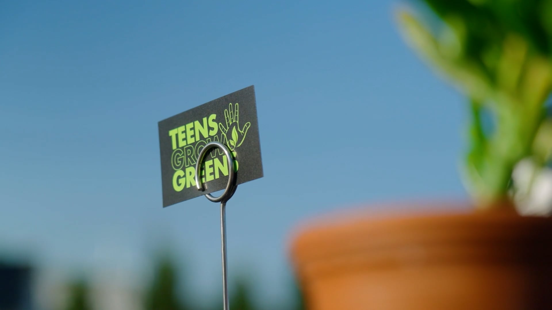 Teens Grow Greens: Perennial 2021