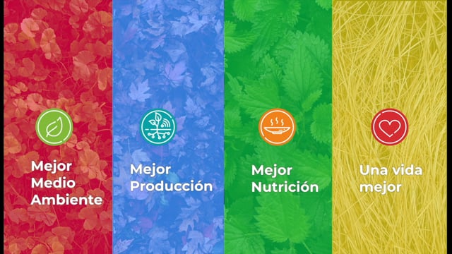 FAO : Día Mundial de la Alimentación 2020