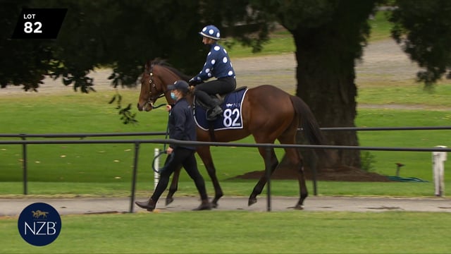 Lot 82