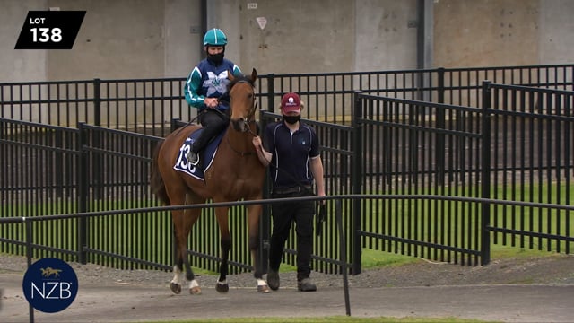 Lot 138