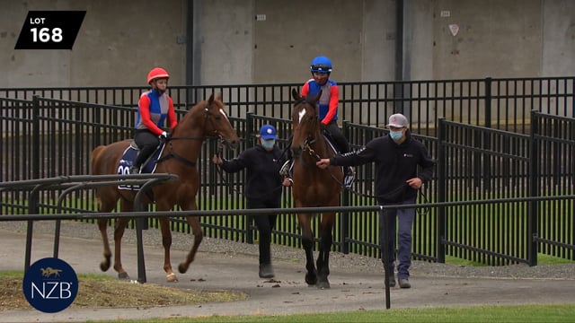 Lot 168