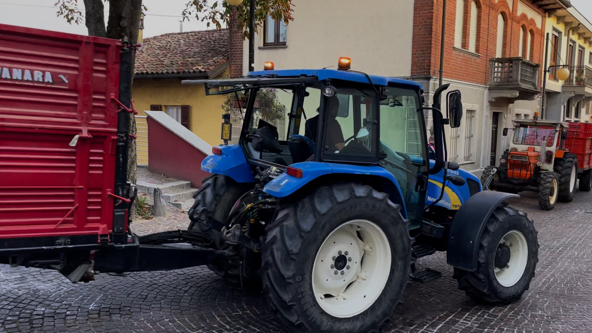 Crush in Barbaresco