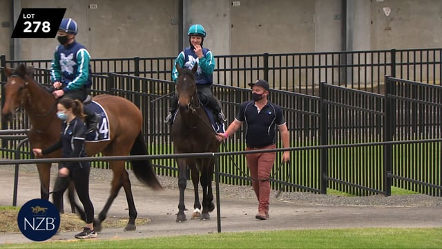 Lot 278