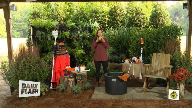 REVITALIZE YOUR OUTDOOR SPACE | SARA BENDRICK | DailyFlash