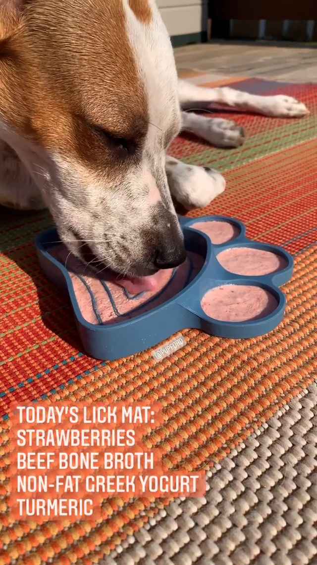 38 lickmat toppers your dog will love — ThisPuppyTravels