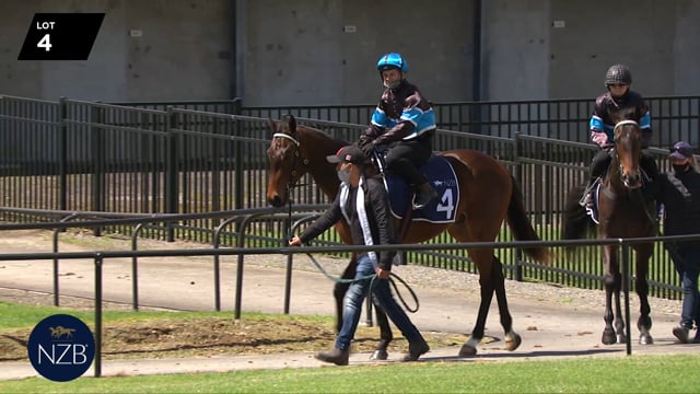 Lot 4