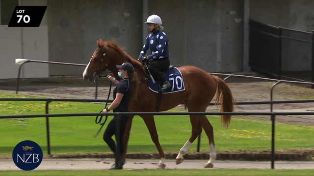 Lot 70