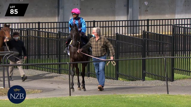 Lot 85