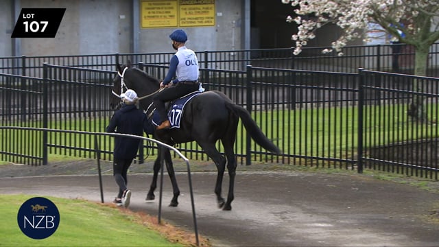 Lot 107
