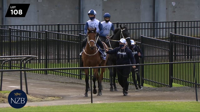 Lot 108