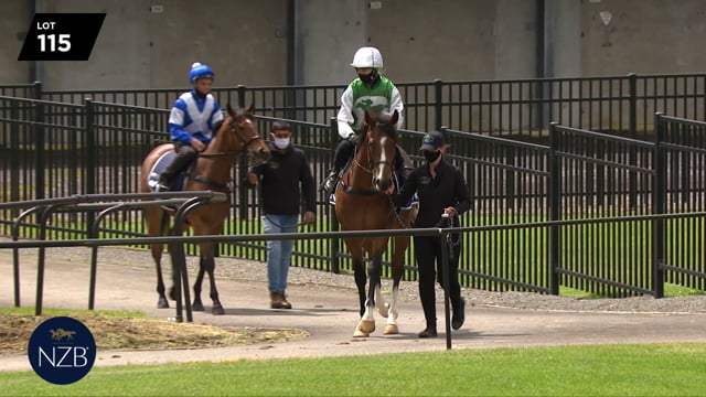 Lot 115