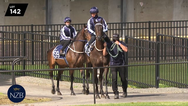 Lot 142