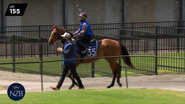 Lot 155