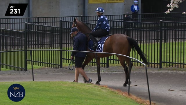 Lot 231