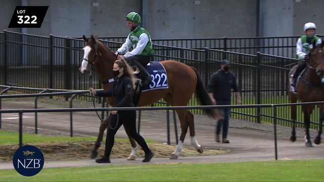 Lot 322